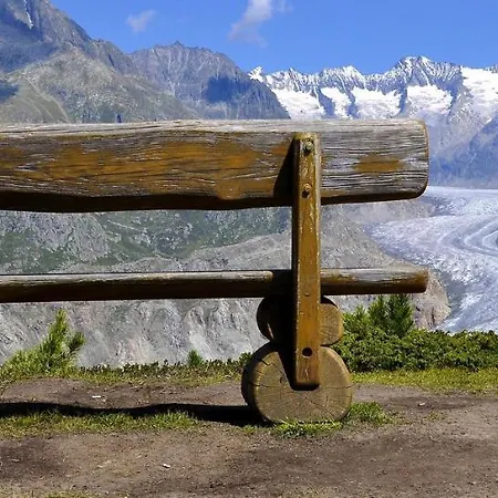 Apartment Eilander Sunshine Fiesch