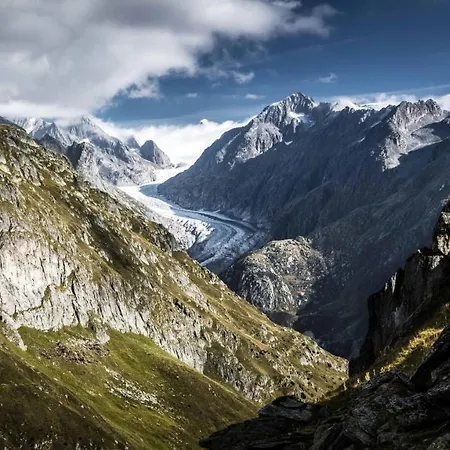 Eilander Sunshine Fiesch